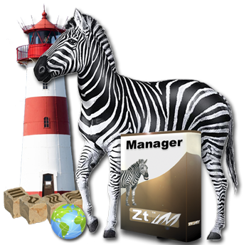 BIM Manager - Strategie